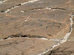 Petroglyphs on Big Island