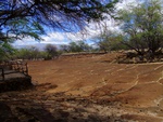 Petroglyphs on Big Island