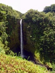 die Akaka Falls