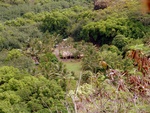 zum Dorf Kamokila am Wailua River