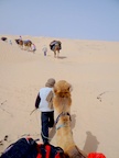 unterwegs in der Sahara