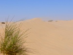 der Wind fegt den Sand auf