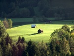 View in the morning from our window